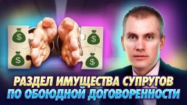 Embedded thumbnail for Раздел Имущества Супругов По Обоюдной Договоренности