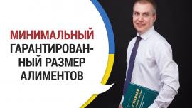 Embedded thumbnail for МИНИМАЛЬНЫЙ ГАРАНТИРОВАННЫЙ РАЗМЕР АЛИМЕНТОВ