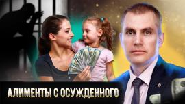 Embedded thumbnail for Как взыскать алименты с осужденного в Украине?