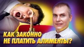 Embedded thumbnail for Можно ли Законно НЕ ПЛАТИТЬ АЛИМЕНТЫ по решению суда?