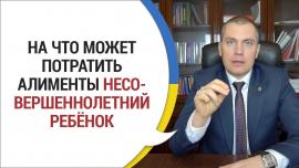 Embedded thumbnail for На Что Может Тратить Несовершеннолетний Ребенок Алименты
