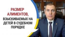 Embedded thumbnail for Размер алиментов, взыскиваемых на детей в судебном порядке