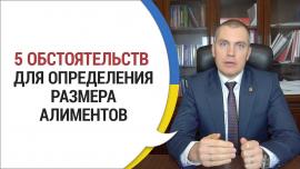 Embedded thumbnail for Пять Обстоятельств для Определения Размера Алиментов